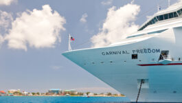 Carnival Cruise Ships