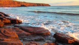 Prince Edward Island