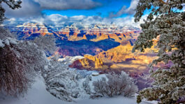 Canyon South Rim, Arizona