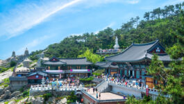 Royal Scenic Korea