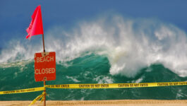 Oahu's North Shore