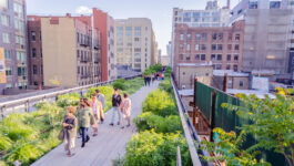 New York's High Line