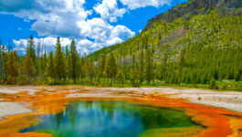 Yellowstone National Park