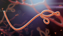 Ebola