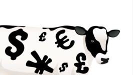 Cash Cow