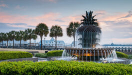 Porter Airlines to launch seasonal service to Charleston, S.C. Feb. 14