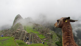 Machu Picchu reopens but Canada’s travel advisory for Cusco remains