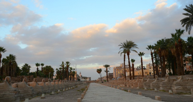 avenue of sphinxes