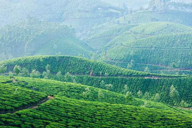 Kerala, India