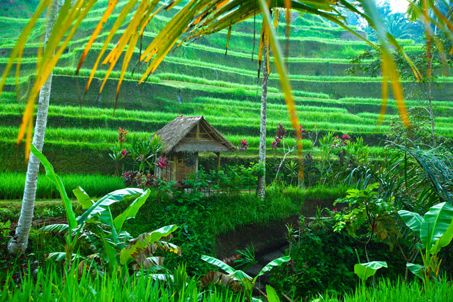 Ubud, Bali