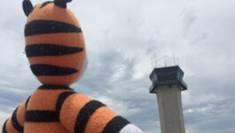 6 year old's lost stuffed tiger goes on an adventure at Tampa airport