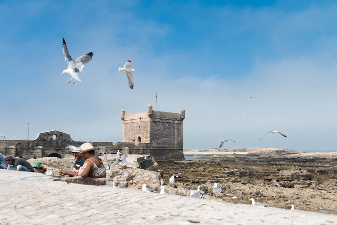 Fishermen clean their catch at the old port in Essaouira