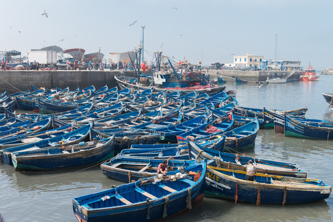 Iconic blue fishing boats in Essaouira