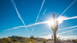 Southwest braces for heat wave with temps reaching 50