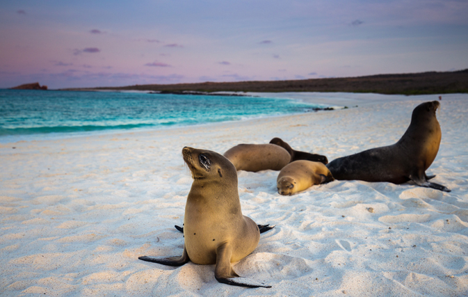 Three ways to save big on Galapagos cruise with Goway