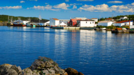 Ferry service to Fogo Island tourism hot spot to resume