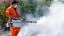 Thailand confirms Zika-linked birth defects following CDC travel advisory