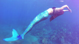 Hawaii Mermaid Adventures offers an undersea voyage like no other