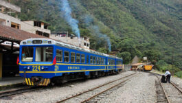 Peru's Machu Picchu tourist train suspended for protest