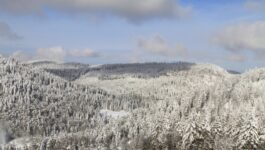 Most air travel normal after U.S. holiday; Eastern Canada faces snow