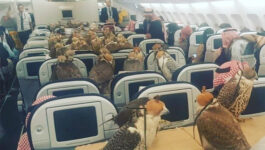 80 falcons take flight – with other passengers onboard