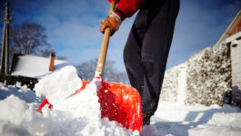 Snow day: Atlantic Canada and Northeast U.S. gets hit hard