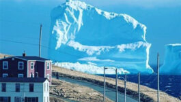 Newfoundland town wakes up to find giant iceberg off its shores