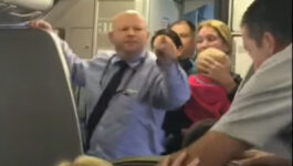 American Airlines removes flight attendant from duty after telling passenger to 'hit me'