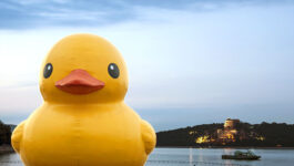 You won’t believe how much this giant rubber duck is costing Ontario