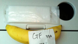 Passenger was served a single banana as his gluten-free meal on flight