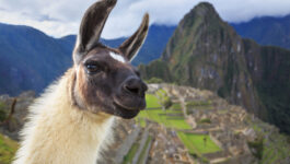 Update from Goway: New Machu Picchu rules in effect July 1 after all