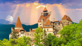 Looking for a real scare? Mama bear and cubs cut off Dracula’s castle to tourists