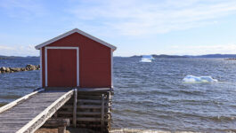 More icebergs = tourism boom for Newfoundland