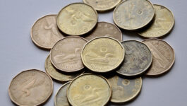 Time to book south of the border: Loonie hits 80 cents for first time in a year