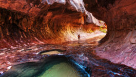 Zion National Park may require a reservation as Utah deals with crowds