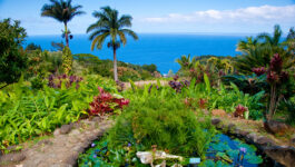 See 4 Hawaii islands on 1 trip with Trafalgar