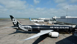 Air NZ says results are still strong despite 17% drop in profit