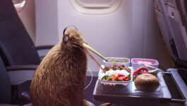 Air New Zealand has ‘A Better Way to Fly’ – and win – with new campaign, agent contest