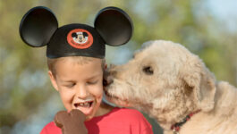 Goofy is no longer in the dog house; 4 Disney hotels are accepting dogs in pilot program