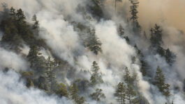 Visit California, industry partners working together on crisis response as wildfires burn