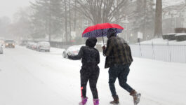 Bomb cyclone makes for a chaotic day for travellers, agents