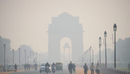 Dense fog disrupts over 500 flights in New Delhi and northern India