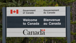 Report calls for new watchdog to handle border complaints