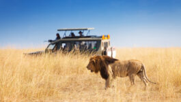 Goway’s popular East Africa fly-in safaris now on sale