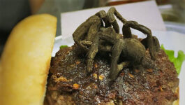 Eat your fears: NC restaurant serving limited-time tarantula burgers