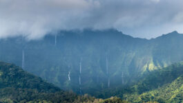 Severe rainfall forces dozens of tourists into evacuation shelter in Kauai