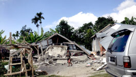 Strong quake hits Indonesian island, killing at least 14