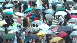 Flights cancelled as Typhoon Shanshan heads toward Tokyo