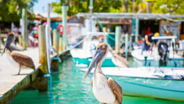 Florida Keys and Key West debut value-added ‘ValuCation’ promotion