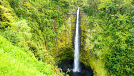 Hawaii is open for business to Canadian travellers, Aloha Spirit lives on in Hawaii